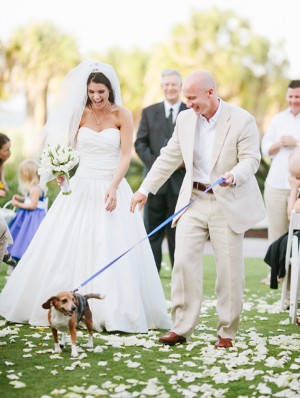 Dogs In Weddings