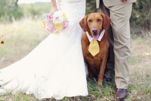 Dogs In Weddings 31