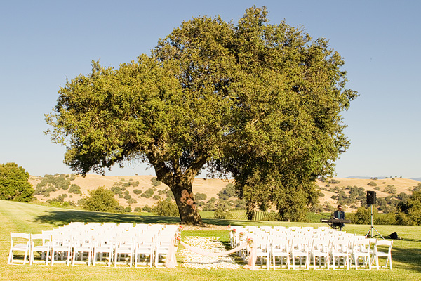 Outdoor Ceremony Under Tree