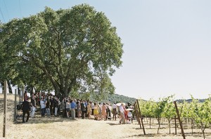Rustic Vineyard Wedding Braedon Photography 1