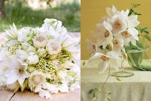 White Clematis Bouquets