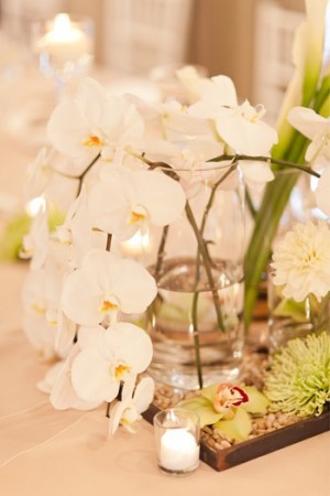 Orchid in Vase Table Decor