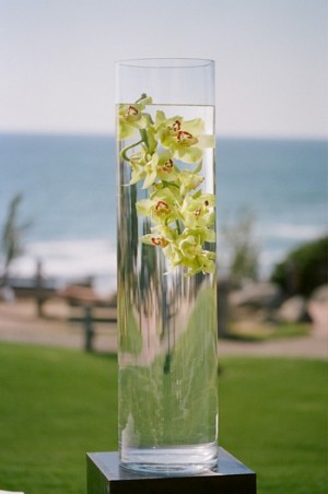 Orchids in Vase of Water