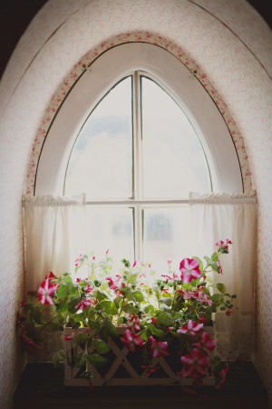 Pink Flowers in Window Box