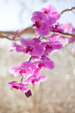 Purple Orchid Branch Decor