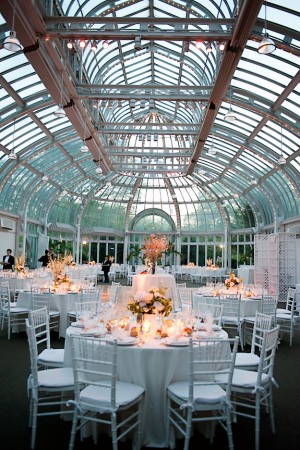 The Palm House Reception