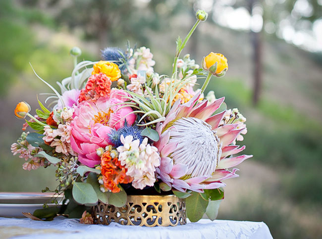 Friday Flowers: Protea