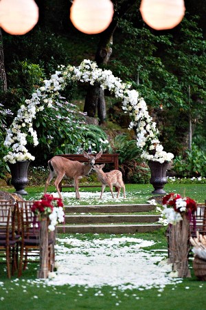 Red And White Outdoor Wedding Ceremony Decor