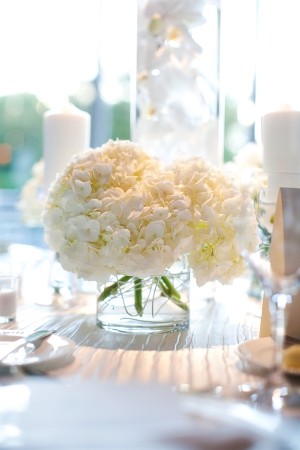 White Hydrangeas in Clear Glass Vase