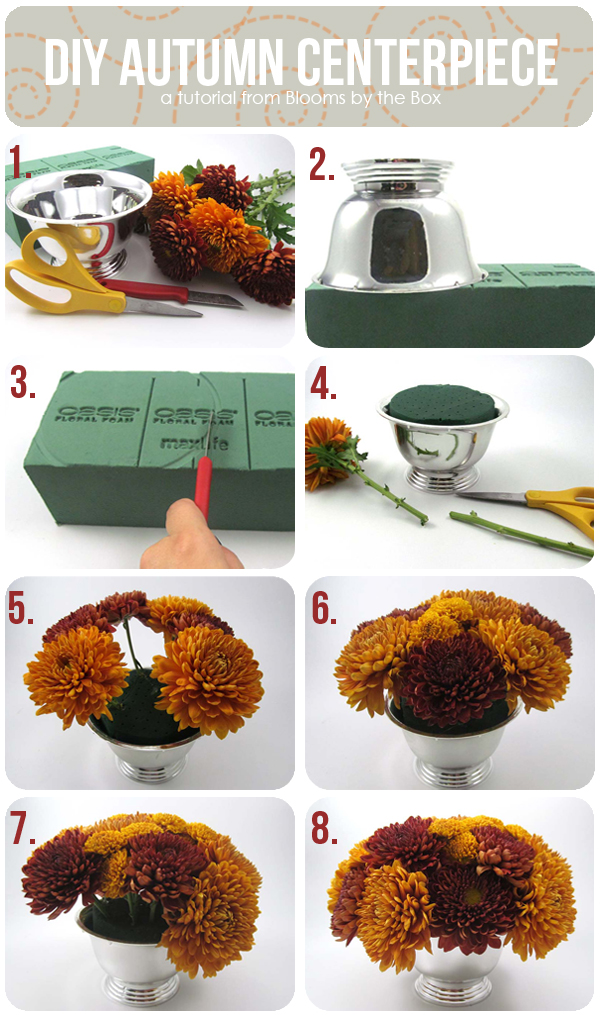 Blooms by the Box Tutorial3
