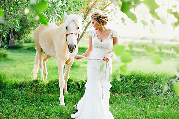 Bride in Cap Sleeve Lace Gown Walking White Horse1