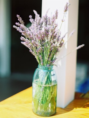 Lavender in Blue Jar