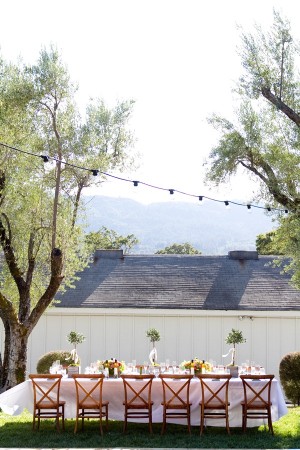 Outdoor Reception in Wine Country