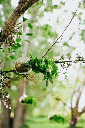 Round Glass Terrariums Hanging From Branches1