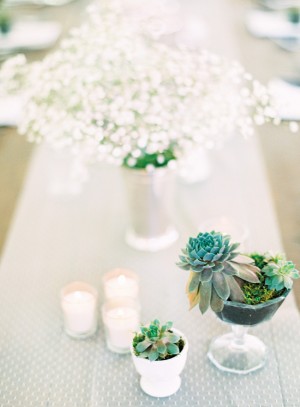 Succulent and Baby's Breath Centerpiece