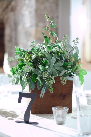 Succulent and Herb Centerpiece