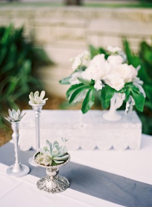 Succulents in Silver Vases