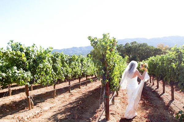 Vineyard Wedding Julie Mikos