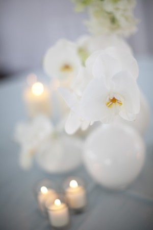 White Orchids in White Milk Glass Vases