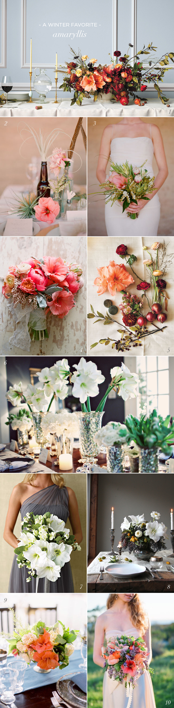 Amaryllis Wedding Flowers