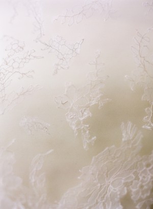 Lace Wedding Gown Detail