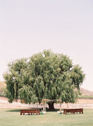 Outdoor Wedding Ceremony Beneath Tree