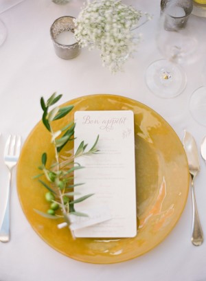 Olive Sprig Place Setting