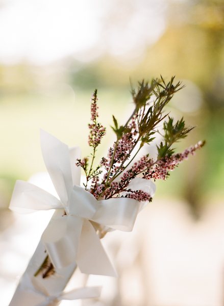 Lavender Bunch With White Ribbon
