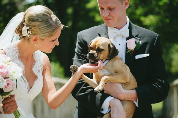 Dogs in Weddings Ideas