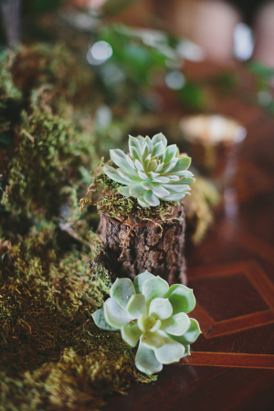 Succulent and Moss Decor