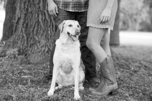 Engagement Photos With Dogs