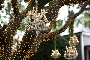 Hanging Chandeliers in Trees Reception Decor
