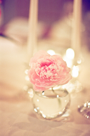 Pink Flower in Glass Bud Vase