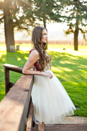 Dress With Ivory Tulle Skirt