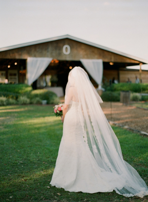 Long Sheer Veil With Lace Trim