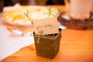 Menu Cards in Potted Plants