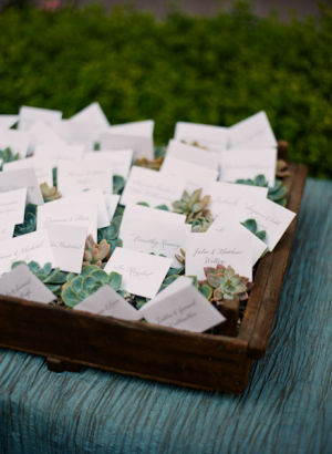 Place Cards in Wooden Tray With Succulents