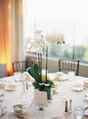 Potted Orchids Reception Centerpiece