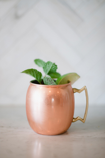 Moscow Mule Vintage Cocktail