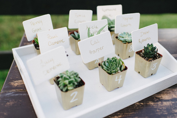 Succulent Escort Cards