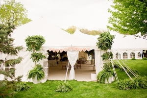 Tented Backyard Wedding Reception