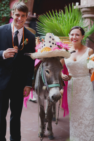 Bride and Groom with Donkey