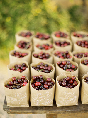 Cherry Escort Cards and Favors