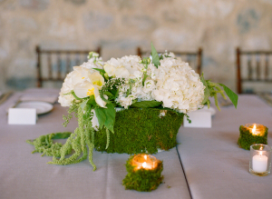Moss Covered Urn With White Hydrangeas