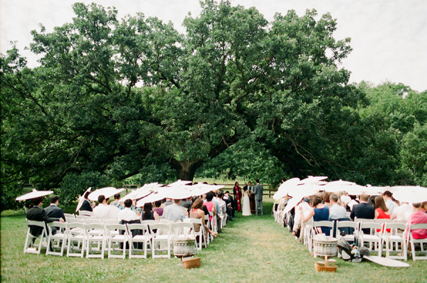 Outdoor Wedding Ceremony Beneath Tree Canopy