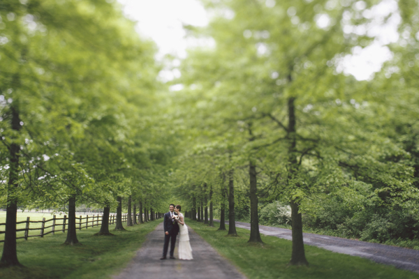 Stunning Wedding Portrait Under Trees