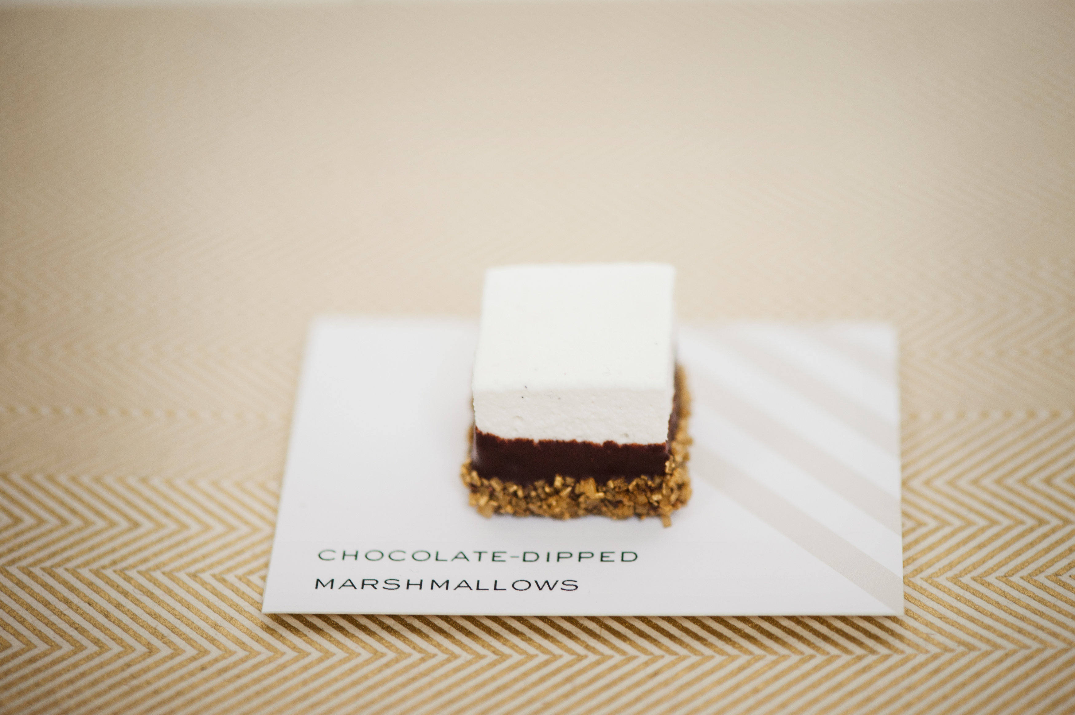 Chocolate Dipped Marshmallow Smores Bar at Reception