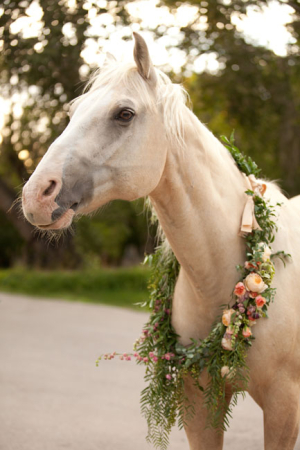 Equestrian Wedding Inspiration