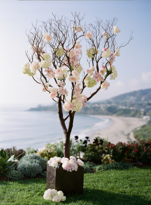 Tree Branches With Roses Ceremony Decor
