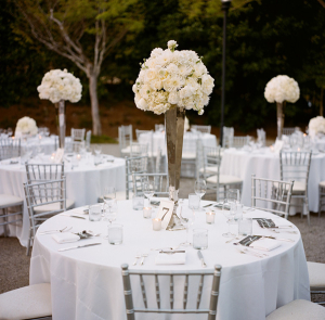 White Floral Topiaries in Glass Vases